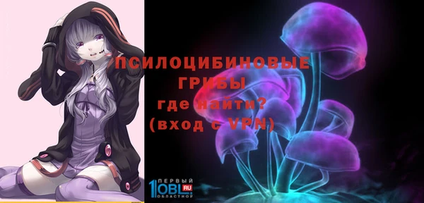 прущие крисы Зеленокумск