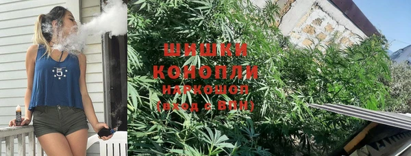 прущие крисы Зеленокумск