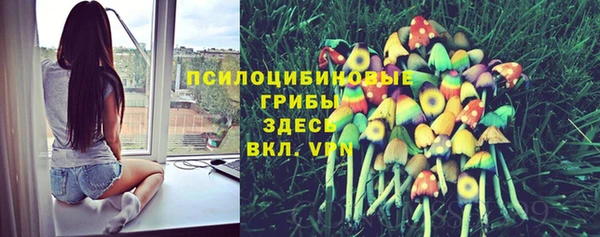 ALPHA PVP Иннополис