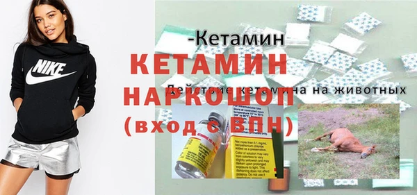 apvp Инта