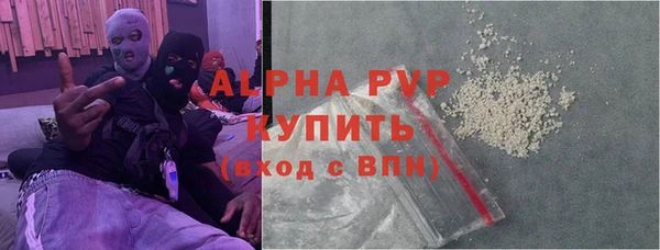 apvp Инта